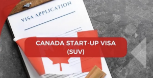 Screenshot 2025-11-05 at 11.33.09 PM